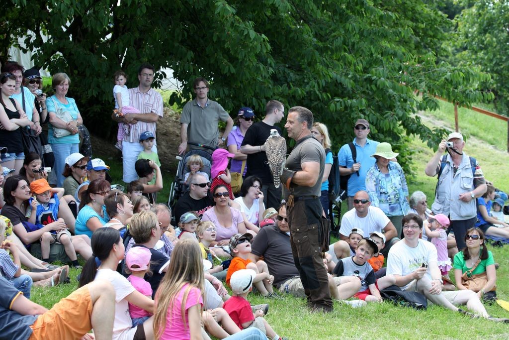 Lehrvortrag beim Kinder-Ritterfest auf der Ronneburg