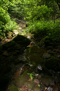 Bachlauf in Eichenfürst