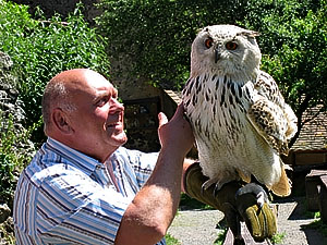 Uhu Ayla beim Erlebnistag
