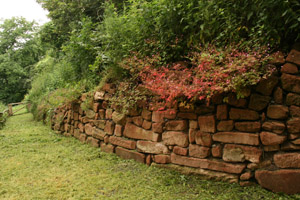 Trockenmauer in der Falknerei